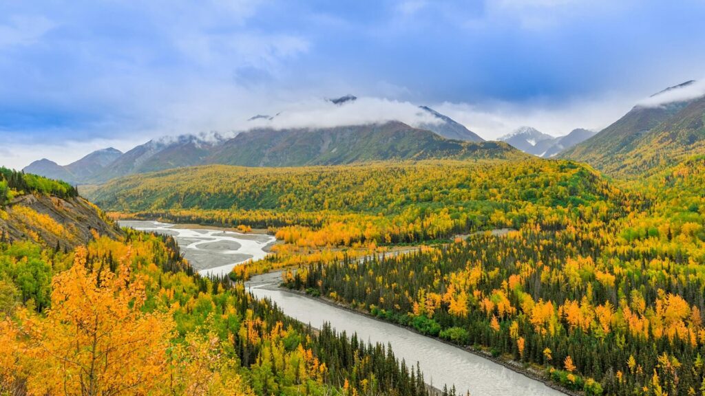How to Get Your Social Work License in Alaska