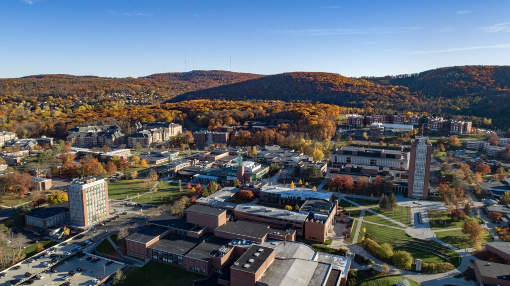 Binghamton University MSW