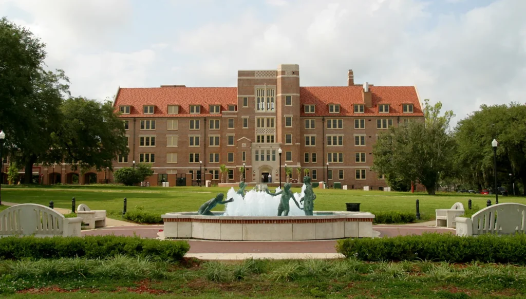 Florida State University Online MSW Programs