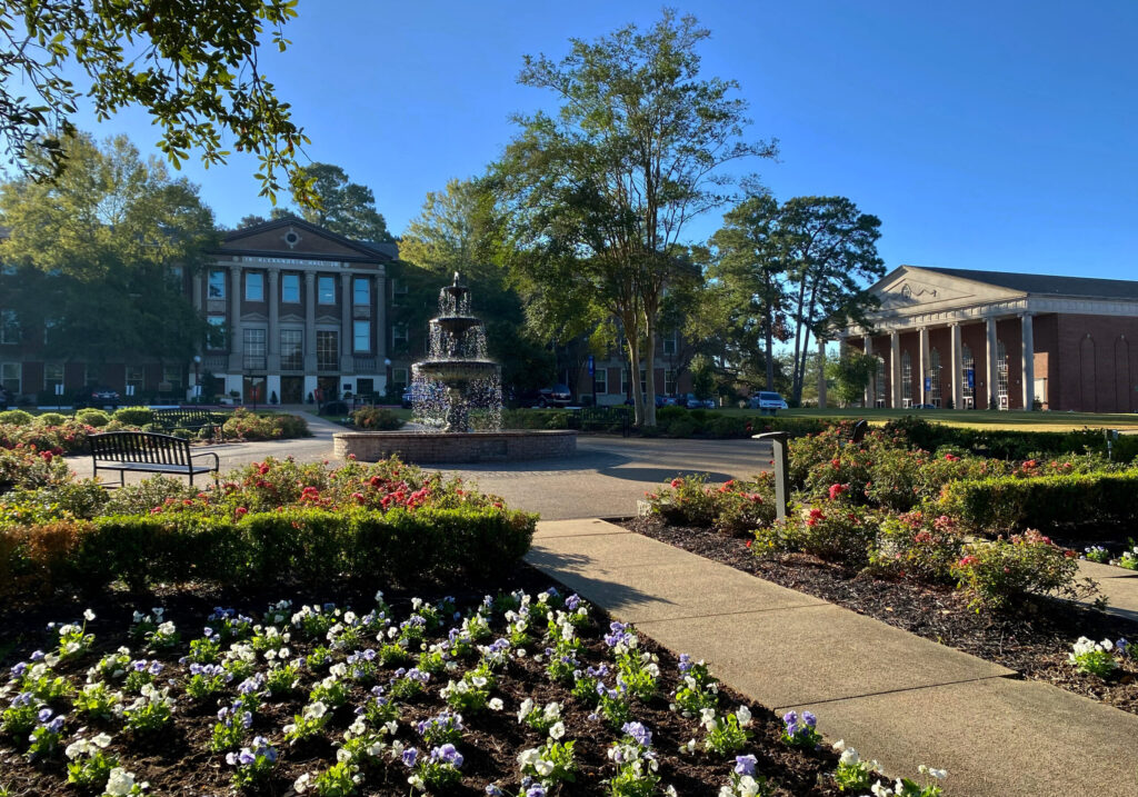 Louisiana Christian University MSW