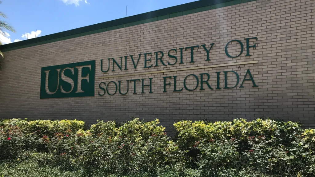 University of South Florida MSW